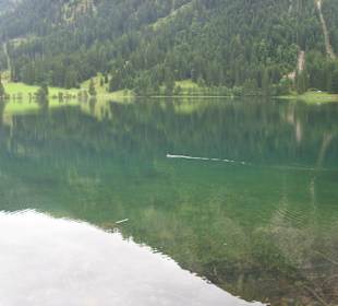Vilsalpsee, klares eiskaltes Wasser