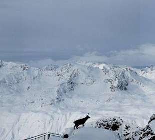Panorama vom Top Montainstar