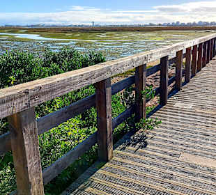 Der Weg ist das Ziel