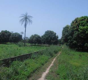 Auf dem Weg durch das Land