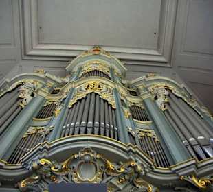 Orgel ganz nah