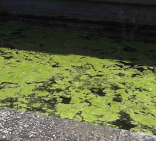 Paläontologisches Museum