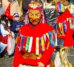 Nürnberger Faschingsumzug 2012