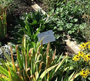 Klosterkirche Maria Gnadenzell