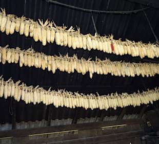 Getrocknete............