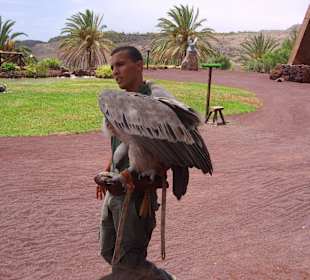 Oasispark - Flugschau