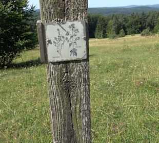 Premiumwanderweg "hochgesprudelt"