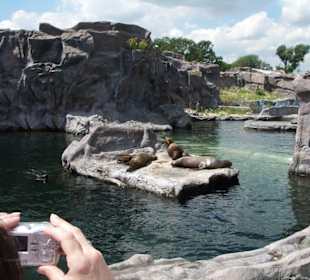 Unterwegs in Afrika...