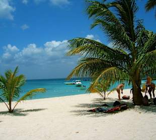 Insel Saona