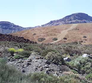 Teide Nationalpark