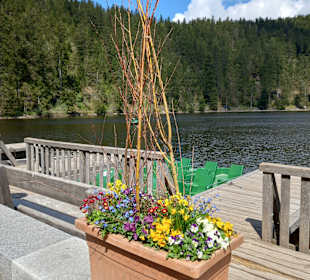 Mummelsee