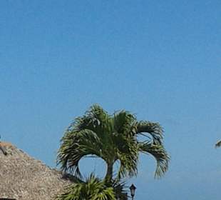 Island Fish & Co auf Islamorada