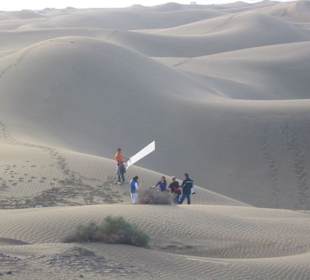 Foto Team  am Strand
