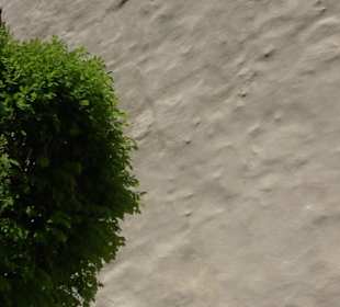 Rosengarten Nördlingen