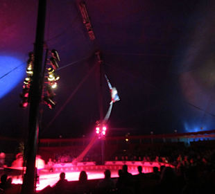 Landauer Weihnachtscircus 2015