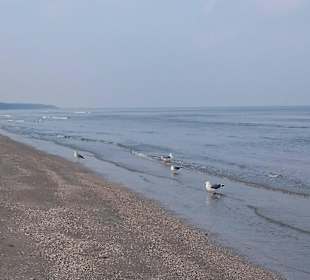 Am Strand