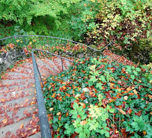 Rundweg durch den Felsengarten Sanspareil
