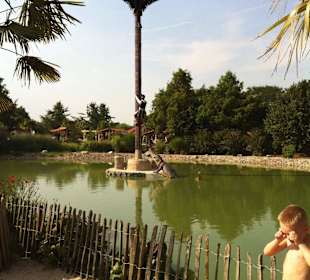 Pirat und sein Krokodil