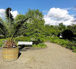 Impressionen aus dem Botanischen Garten