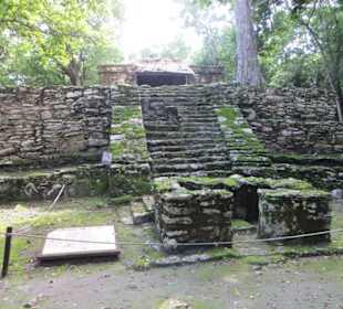 Ausflug mit Daniel zu den Maya Ruinen in Muyil