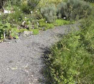 Botanischer Garten