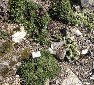 Botanischer Garten