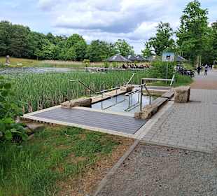 Seewoog in Ramstein-Miesenbach