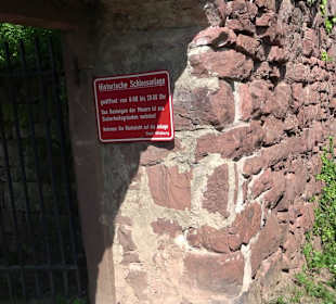 Schlossruine Wildberg