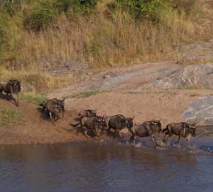 Deshalb waren wir in der Mara