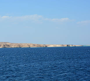 Delphinsafari mit Mo