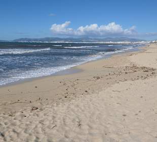An der Platja de Palma