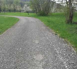 Kirschenweg