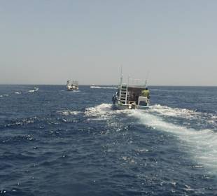 Fahrt zum Schnorcheln