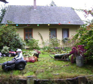 Lustig gestaltete Vorgärten an der Spree