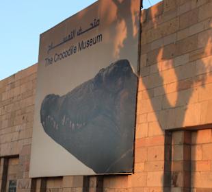 Krokodil Museum
