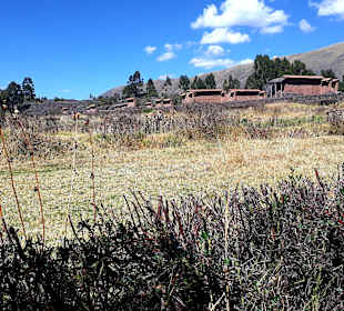 Raqch'i
