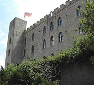 Hambacher Schloss (3)