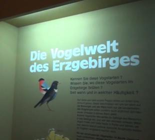 Jagdtier + Vogelkunde
