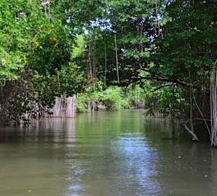 Black River Bootstour