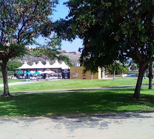 Parque del Sur in Maspalomas