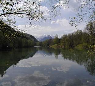 Auwaldsee in 15 Gehminuten entfernt