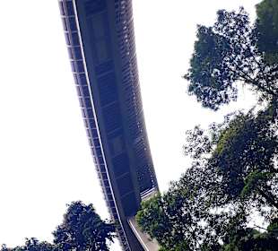 Henderson Waves Bridge