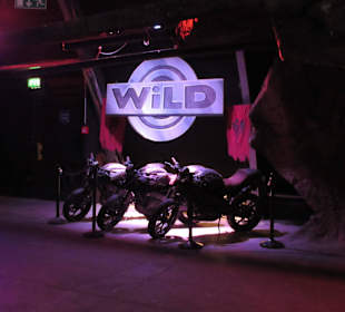 Die Wilden Kerle 5 - Hinter dem Horizont