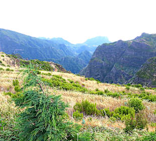 Pico do Arieiro