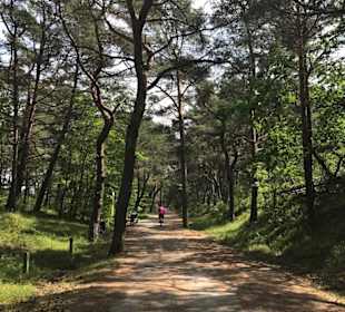 Wandern Trassenheide