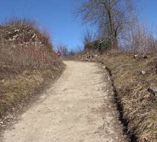 Wandertour Eppenzill