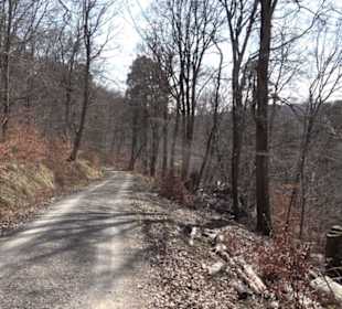 Geologischer Lehrpfad Kirnbachtal