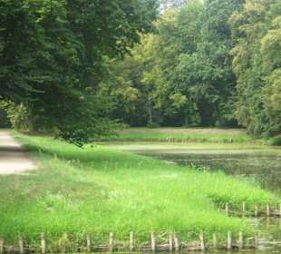 Park przy Pałacu w Nieborowie