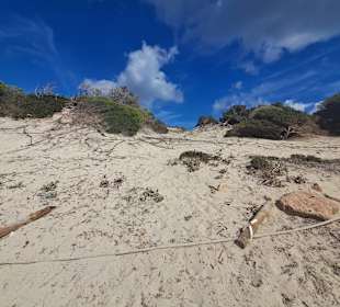 Naturschutzgebiet Ses Salines