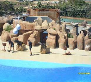 Marineland